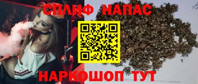 молекула духа Будённовск