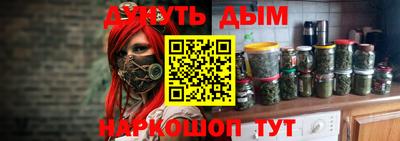 молекула духа Будённовск