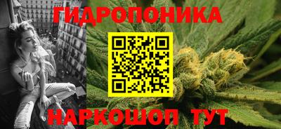 молекула духа Будённовск