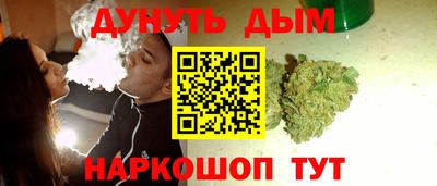 молекула духа Будённовск
