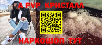молекула духа Будённовск