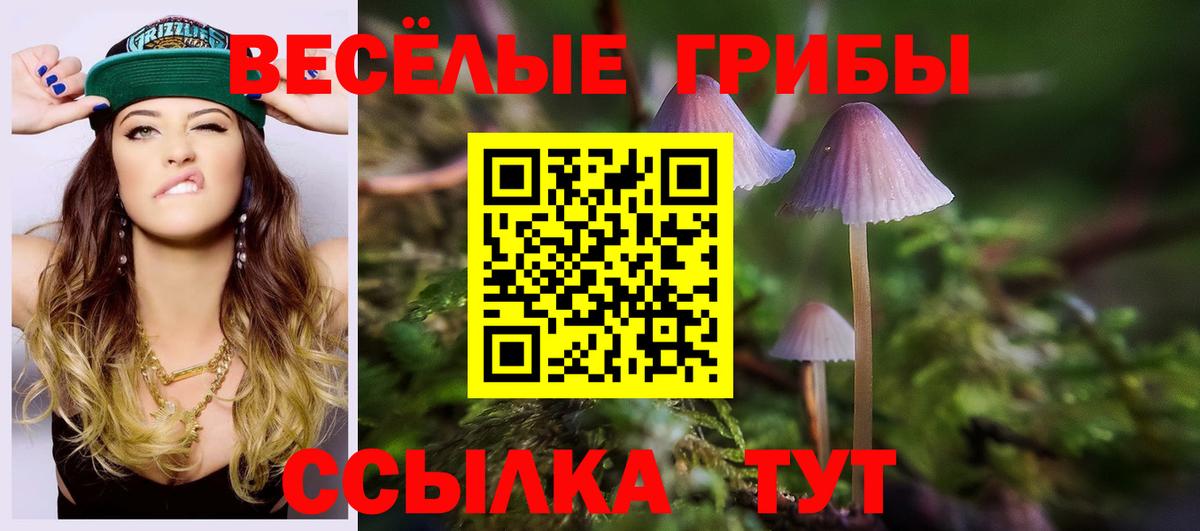 Краснокаменск  Галлюциногенные грибы Cubensis  Вход с VPN 